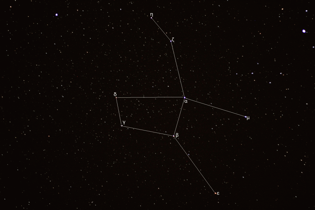 Constelación de Lepus (la Liebre) desde Cabo Rojo. (Crédito: Observatorio Guajataca)