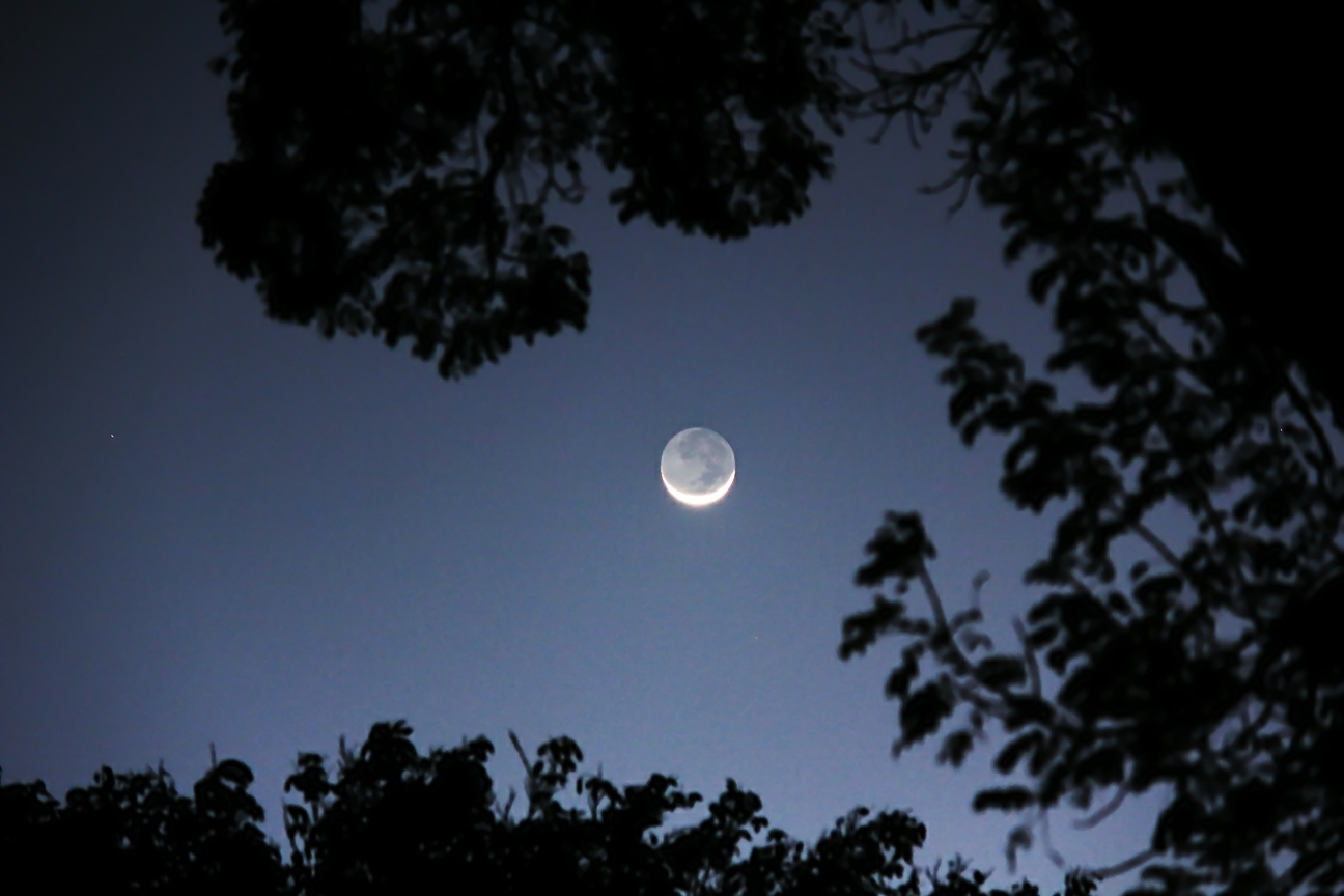 Luna creciente desde Isabela, PR. Crédito: Gustavo Sánchez/Captando el Cosmos