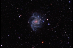 NGC-6946