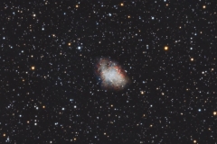 cropped-m1-annotated