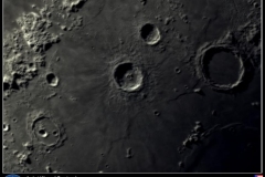 aristillus