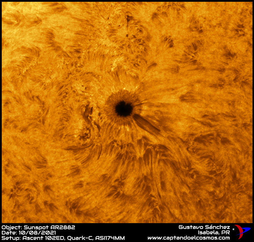 10082021-AR2882_HAc