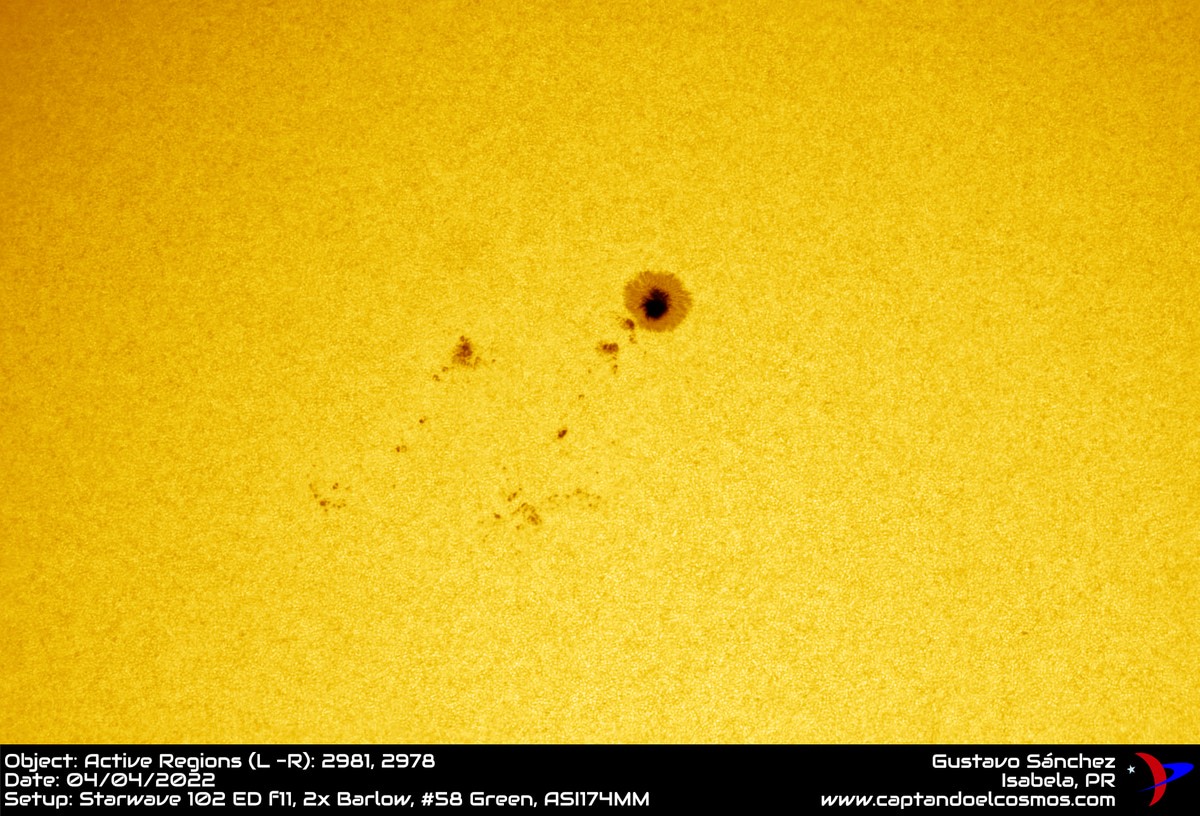 ar2981-04042022