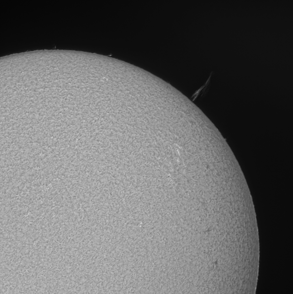 sun-05262020-z-bw