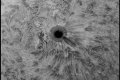 10082021-AR2882_HA