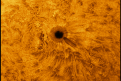 10082021-AR2882_HAc