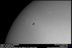 AR2886-BW