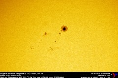 ar2981-04042022