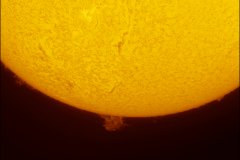 sun_02032023-ha-proms