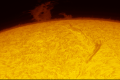 sun_02112024-ha