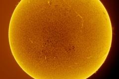 sun_04102022-glare